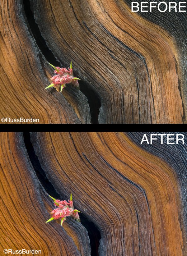 Cover All Bases In Photography, Part 2 Outdoor Enthusiast Lifestyle