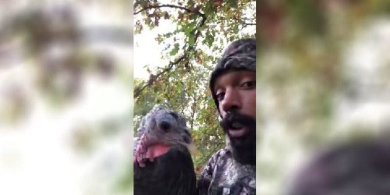 Deer Hunter’s Morning Interrupted by His Pet Turkey
