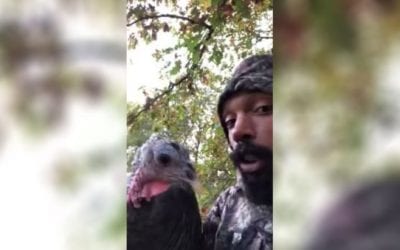 Deer Hunter’s Morning Interrupted by His Pet Turkey