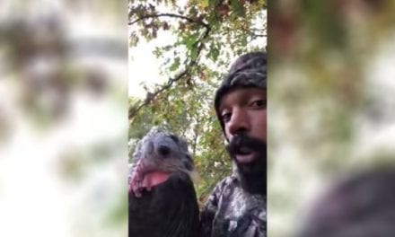 Deer Hunter’s Morning Interrupted by His Pet Turkey