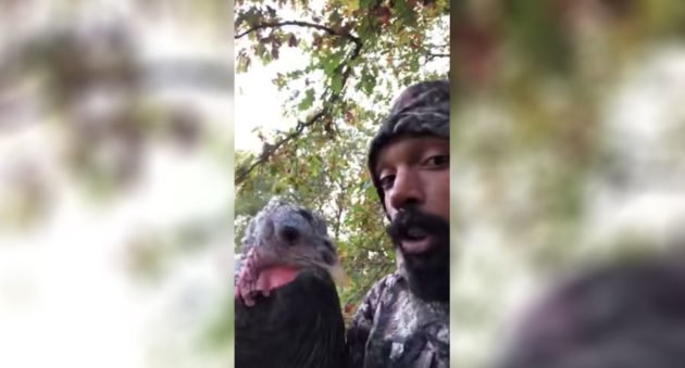turkey interrupts deer hunt