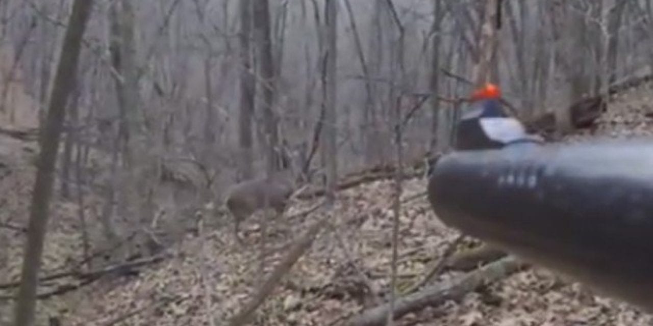 Deer Presents Hunter With the Easiest Possible Shot