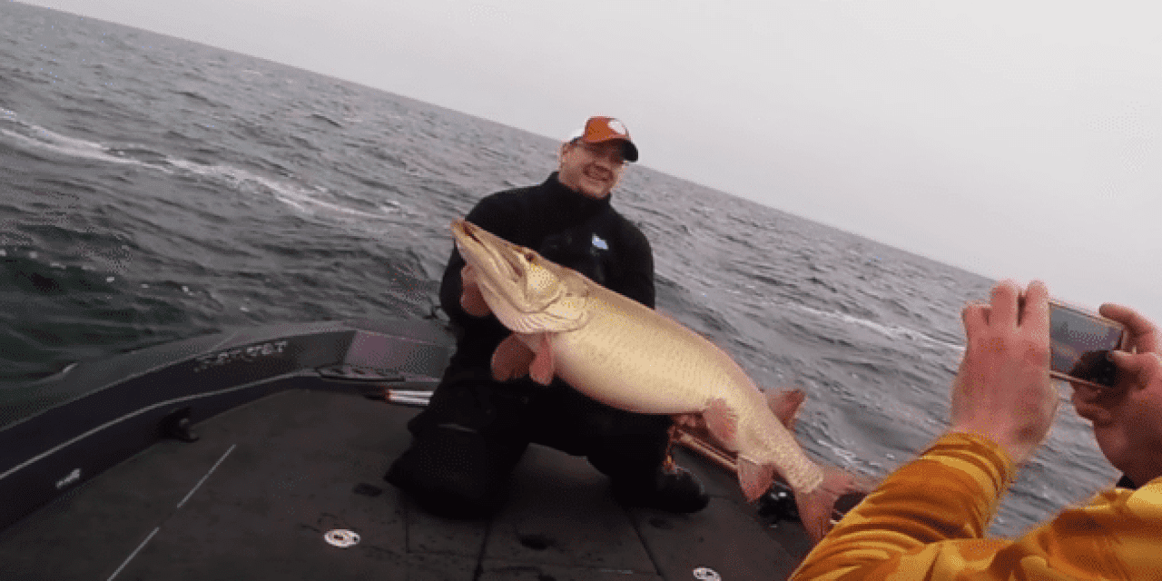 Flashback to This 50-Pound Muskie Caught on Mille Lacs