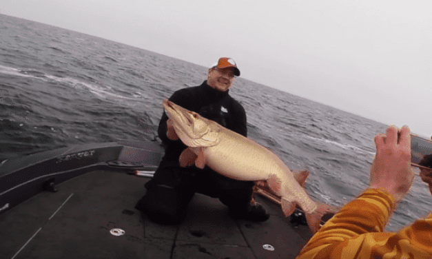 Flashback to This 50-Pound Muskie Caught on Mille Lacs