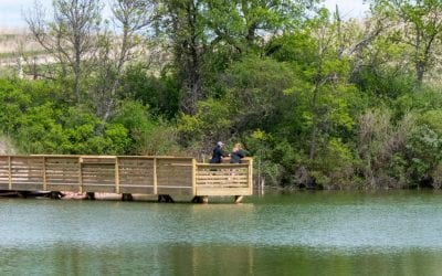 Ft. Robinson Ponds