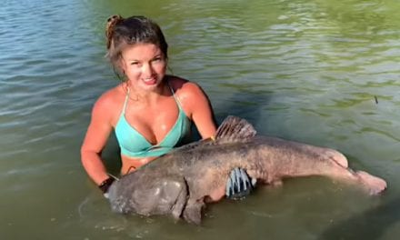 Hannah Barron Noodles Up Some Big Catfish in Illinois