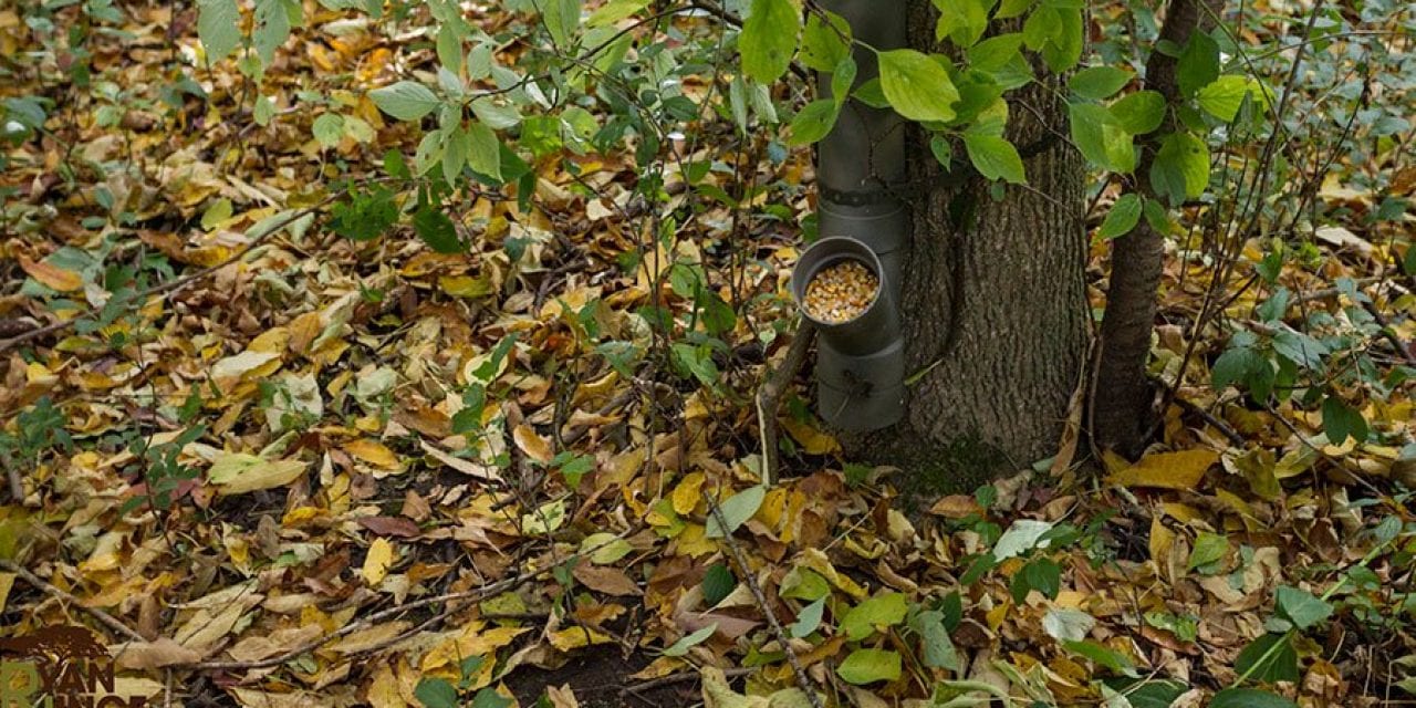 How to Make a Poor Man’s Deer Feeder