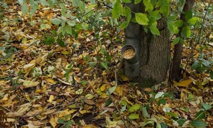 How to Make a Poor Man’s Deer Feeder