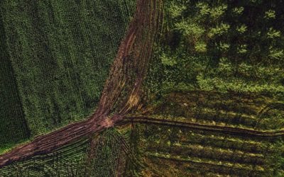 Hunting Locator: What the Subscription Service Means for the Hunting Community