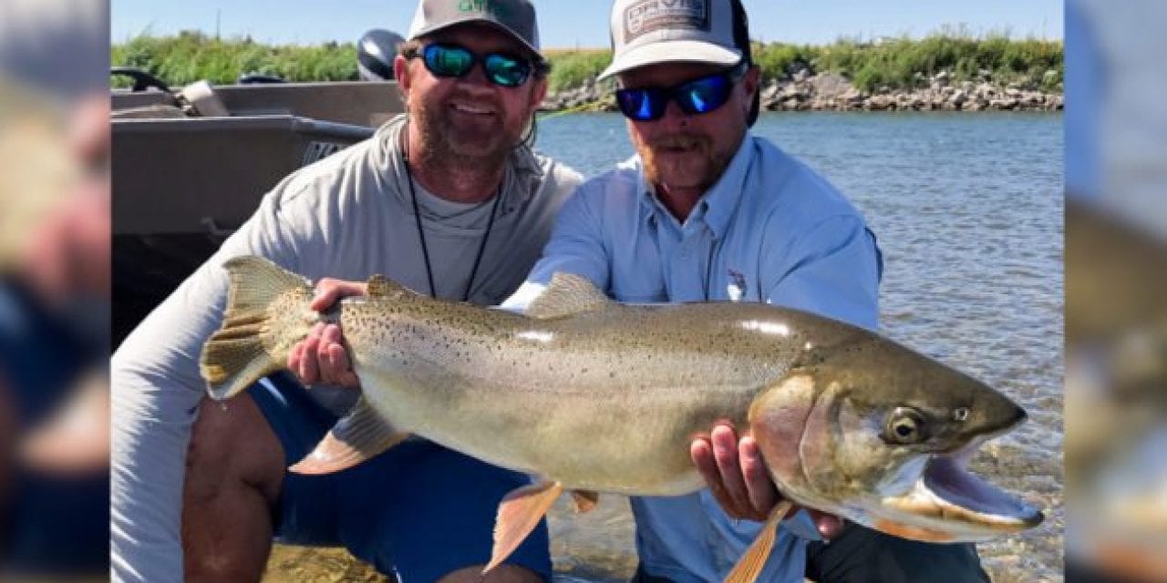 Idaho’s Yellowstone Cutthroat Trout Catch-and-Release Record Falls to Texan Angler
