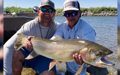 Idaho’s Yellowstone Cutthroat Trout Catch-and-Release Record Falls to Texan Angler