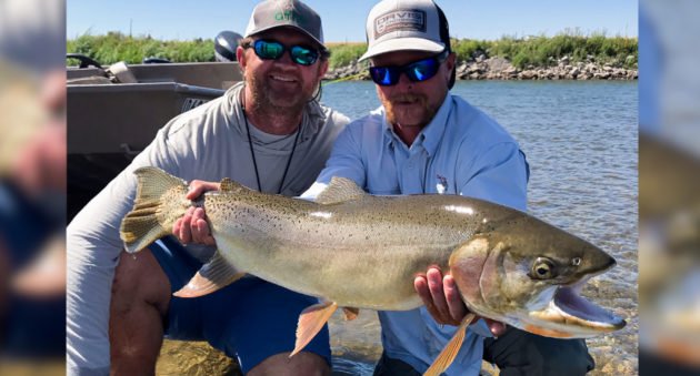 Cutthroat Trout Record