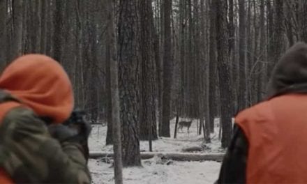 Intro From Prisoners is Still Perhaps Hollywood’s Most Realistic Deer Hunting Scene