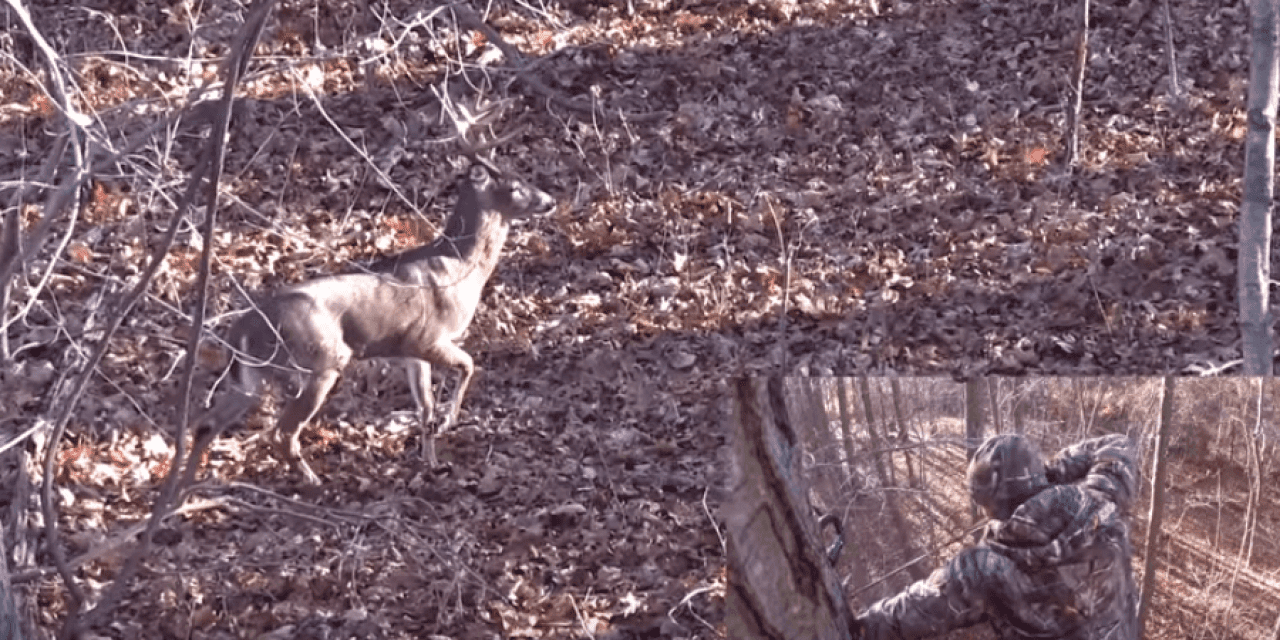 Looking Back on the 17-Point Buck Taken With a Bow in New York