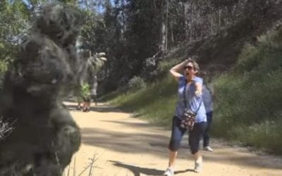 Man Hides in a Ghillie and Scares People Walking By