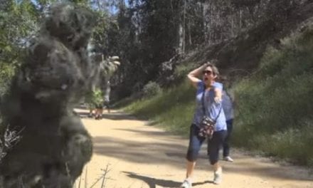 Man Hides in a Ghillie and Scares People Walking By