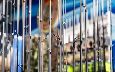 New Fishing Gear for Late Season and Beyond