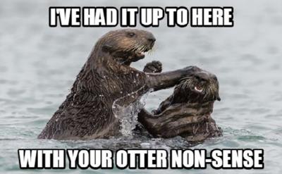 otter-meme-ice-fishing-target-walleye