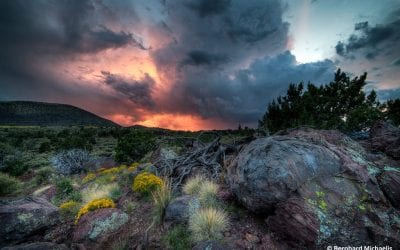 Photo Of The Day By Bernhard Michaelis
