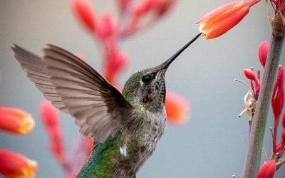 Photo Of The Day By David Lipton