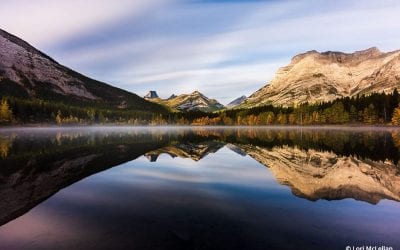 Photo Of The Day By Lori McLellan