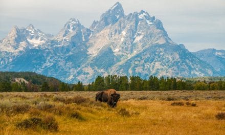 Photo Of The Day By Mark Warren