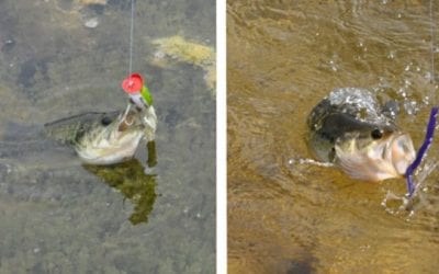 Soft Plastics vs. Hard Baits: When and Why You Should Use Both, and For What Situations