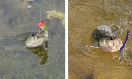Soft Plastics vs. Hard Baits: When and Why You Should Use Both, and For What Situations
