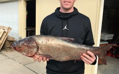 State Record Update, August 2020