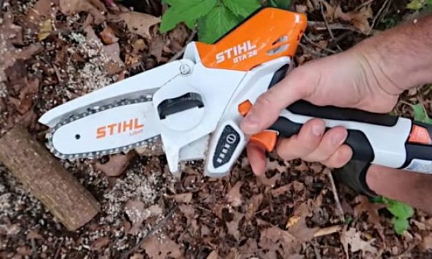 Testing a Battery-Operated STIHL Mini-Chainsaw with the Crazy Russian Hacker