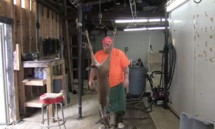 This Might Be the Fastest Deer Skinner Alive