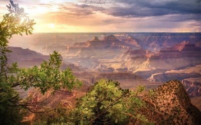View From The Top Assignment Winner Gerry Groeber