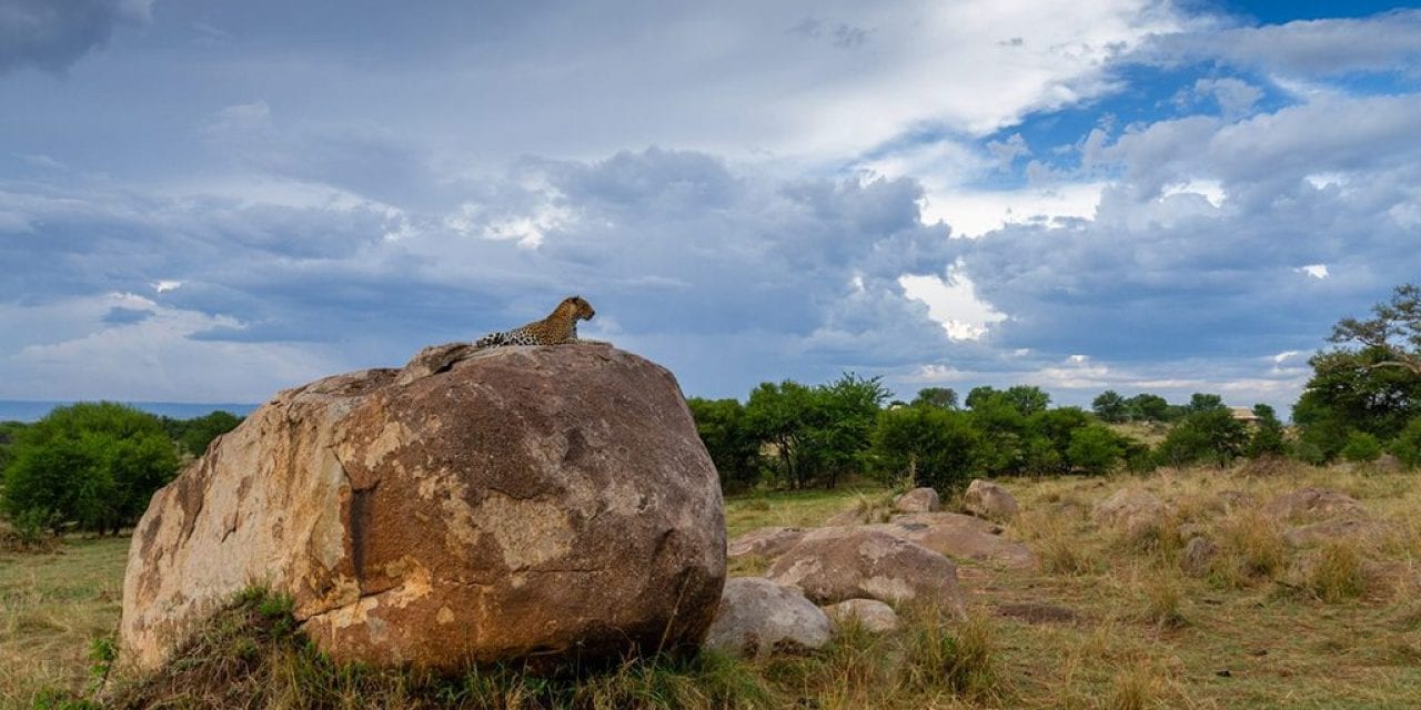 Wildlife In The Landscape Assignment Winner Robert Henderson