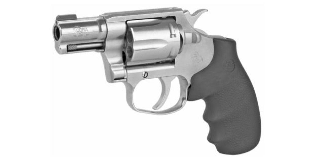 8 Great Choices for Revolvers Chambered in .38 Special