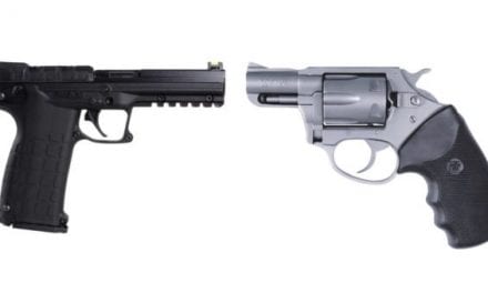 8 Top Choices for Handguns Chambered in .22 WMR