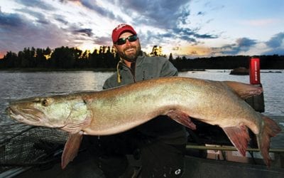 Cast Blue Fox Super Bous For Muskies