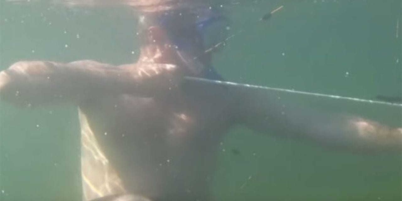 Experimental Anglers Try Bowfishing Underwater