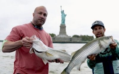 Fishing For Striped Bass in the Shadow of the Statue of Liberty