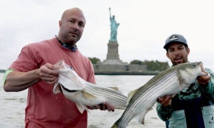 Fishing For Striped Bass in the Shadow of the Statue of Liberty