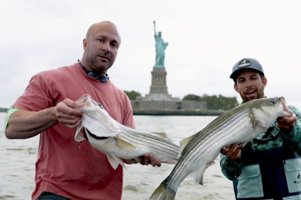 Striped Bass