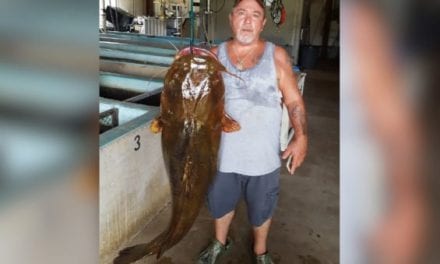 Florida Has a New State Record Flathead Catfish