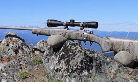 Here’s What You Need to Know About the New Ruger Hawkeye FTW Hunter