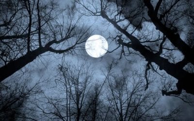 Hunter’s Moon: What the Term Means and Where It Originated