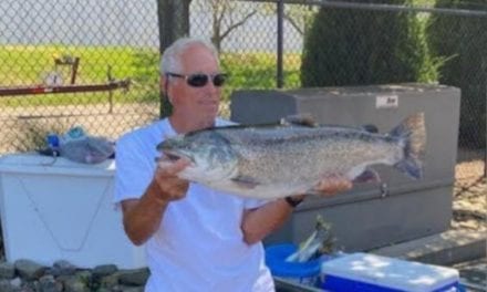 Pennsylvania’s 20-Year-Old Brown Trout State Record Finally Falls with Massive Lake Erie Catch