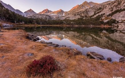 Photo Of The Day By d.mitler