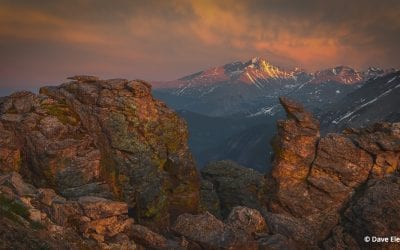 Photo Of The Day By Dave Elendt