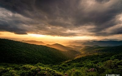 Photo Of The Day By Jennifer Carr