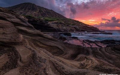 Photo Of The Day By Mark Tamosiunas