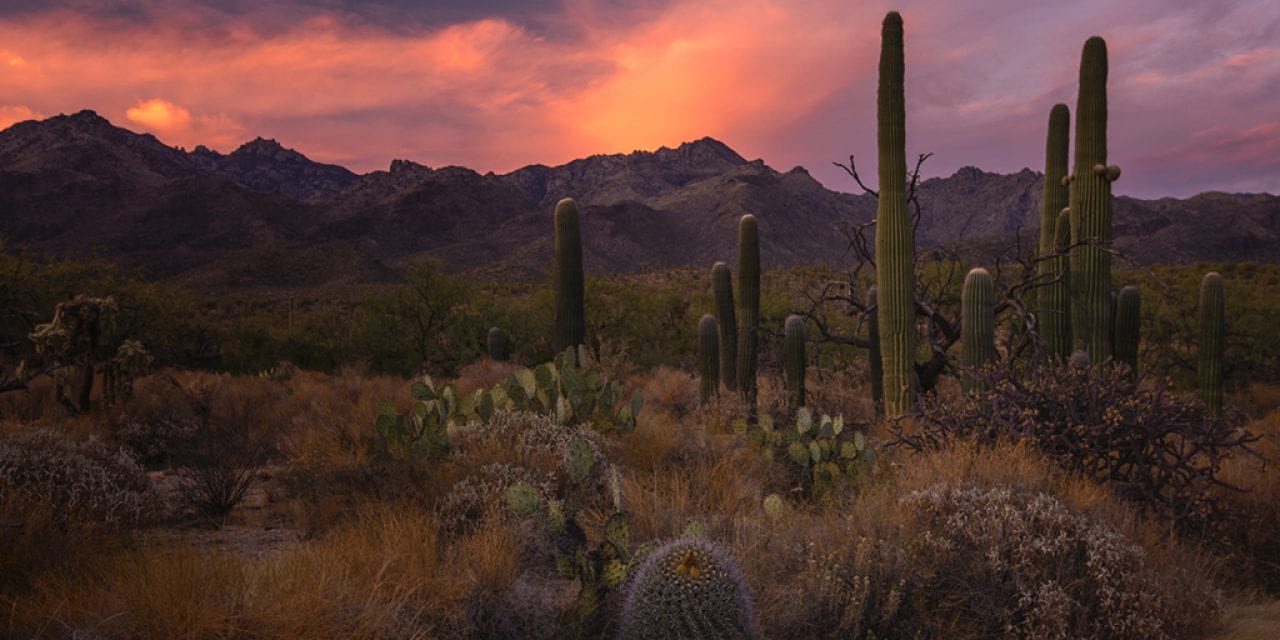 Photo Of The Day By Steven W Martin Photography