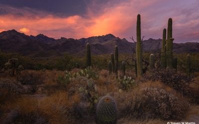 Photo Of The Day By Steven W Martin Photography